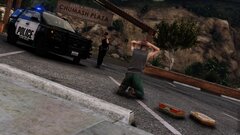 Shoplifting in Progress!