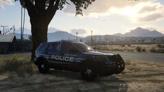 Center Lane based sandy shores FPIU