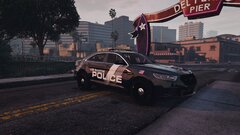 Lansing based LSPD pack