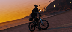 Bicycle Patrol