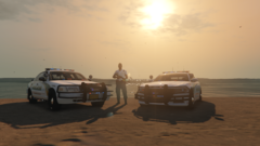 Grand Theft Auto V 04_04_2020 22_22_44.png