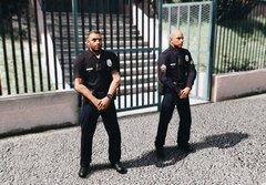 2020 LAPD peds (WIP)