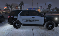 K9 Stella waits in the back seat (with the AC on, of course)