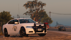 Primary Collision Factor