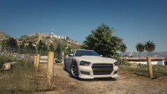 hanging with chop.png