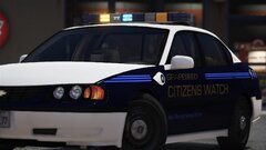 Grapeseed Citizen Watch Front