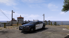 hanging by the ocean.png