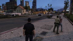 fight during a traffic stop.png