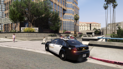 stopping a fight.png