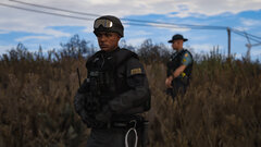 LSSD - State Reinforcements