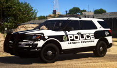 Senora Regional - Private Release