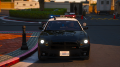 | LAPD CHARGER '14 |
