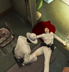 Officer Pressed Panic Button