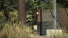 Bank Robbery Gone South