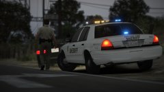 Millennials in Fast Cars