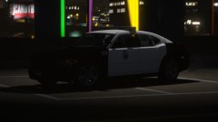 In the dark, Still watching you!