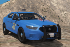 MSP_taurus