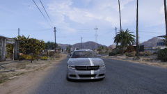 driving through sandy.png