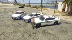 Mesa County Sheriff inspired BCSO 2018 Charger