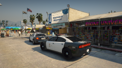 follw the leader.png