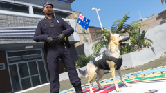 Aussie K9 station shot