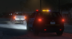 Traffic Stop. Sandy Shores