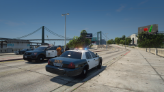 lspd assist.png