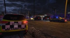 ACTPolicing on scene at a domestic turned bad.