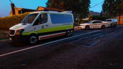 Crews on scene at an early morning domestic.