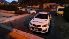 Crews on scene at an early morning domestic.