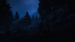 The darkness of Paleto Forest