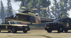 Henriettaland State Police Helicopter