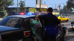 Drug Bust on a Vehicle