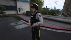 RCMP Motor Unit 1.png