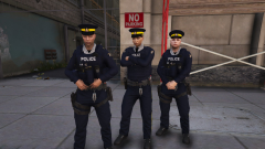 RCMP 5.png