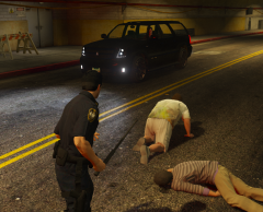 FIBP Beating down an IAA Agent