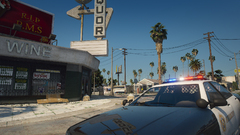 Grand Theft Auto V Screenshot 2020.05.22 - 17.50.54.28.png