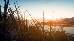 Screenshot (229).jpg