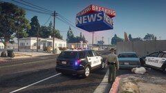 car thief nabbed.jpg