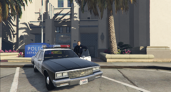 Rockford Hills Police Precincts