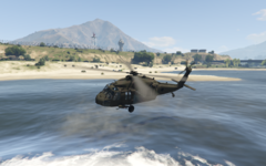 Black Hawk