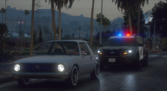 Traffic Stop