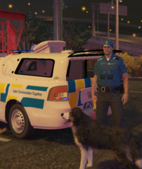 NZ Police 'Delta' Unit.png