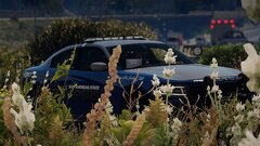 Lurking in the Shadows