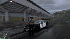 Grand Theft Auto V Screenshot 2020.10.20 - 19.28.56.83.png