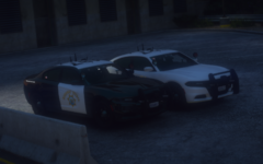 CHP Charger & Polar Bear