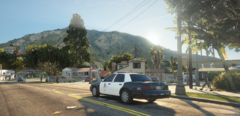 LAPD1.png