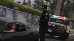 Traffic Stop