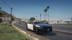 watching traffic.png