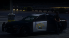 CHP Task Force